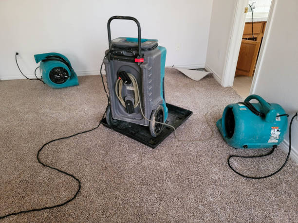 Best Commercial water damage restoration  in St Leon, IN