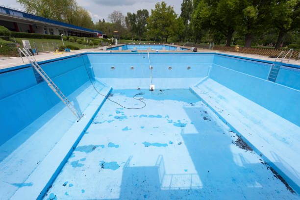 Best Water damage contractors near me  in St Leon, IN