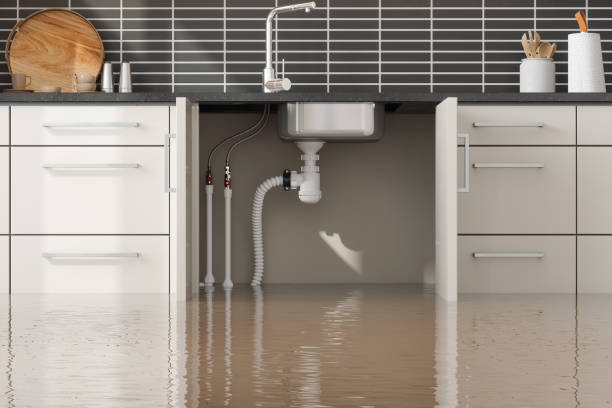 Best Water damage restoration specialists  in St Leon, IN