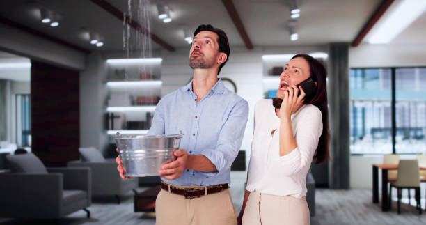 Best Carpet water damage restoration  in St Leon, IN